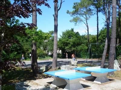Jeux et tennis de table