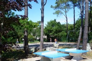Campsite France Brittany, Jeux et tennis de table