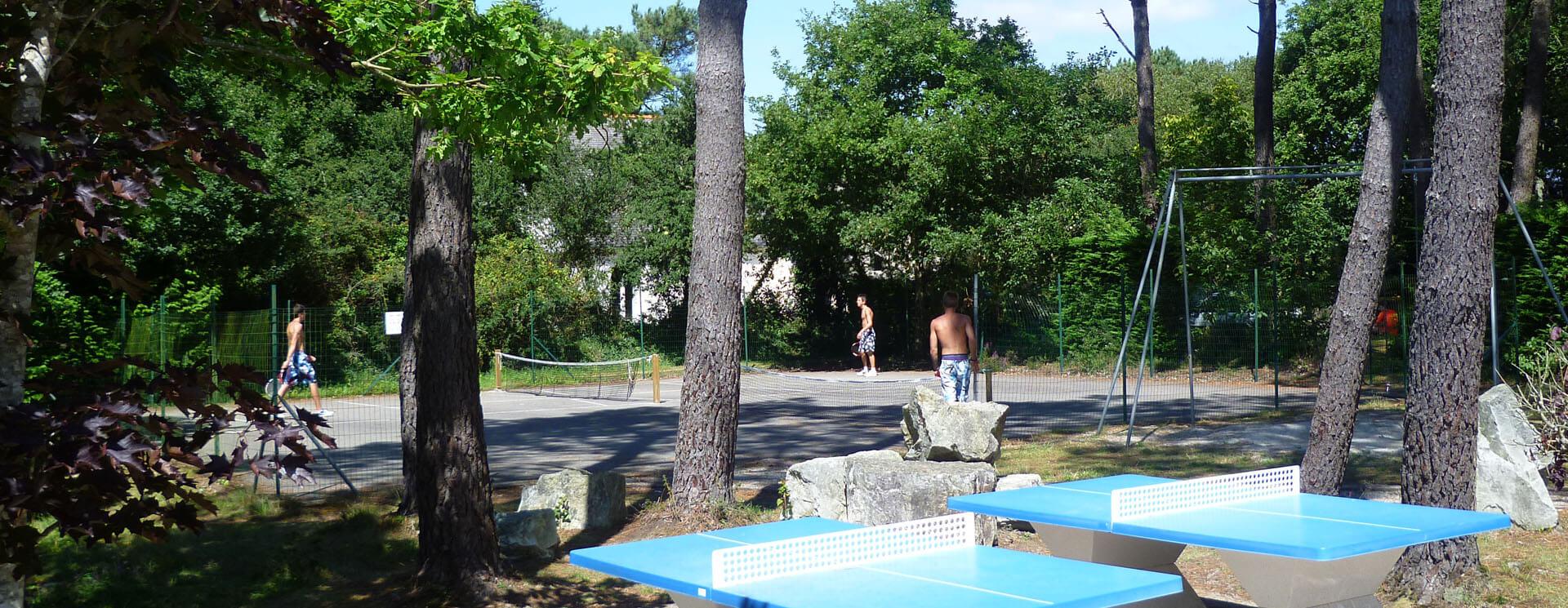 Photo ᐃ LES PINS *** n°1