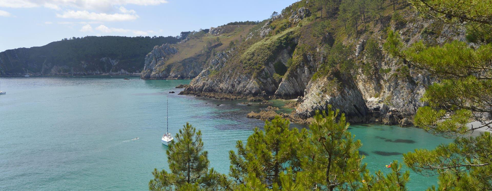 Photo ᐃ LES PINS ***